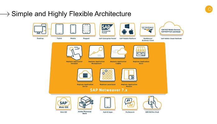 neptune architecture over sap.jpg