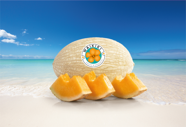 RS9836_Waikiki_playa-600x409